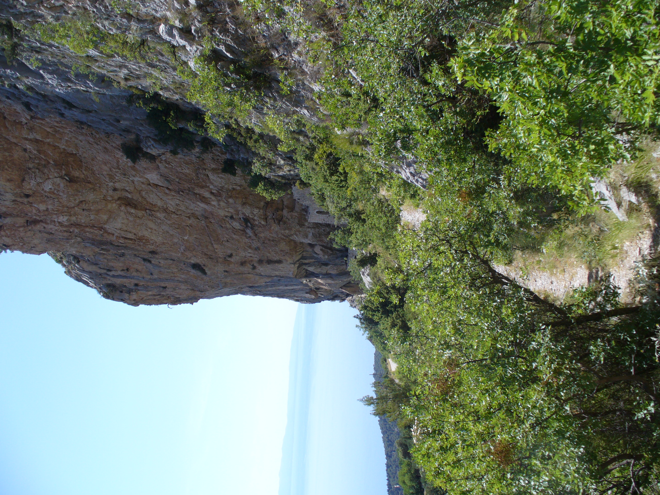 P1050528